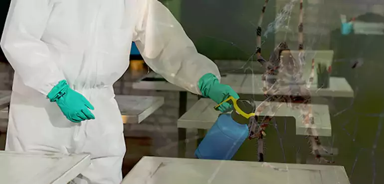 Why Buyers Still Want Homes With Pest Infestations in Glendale, AZ?