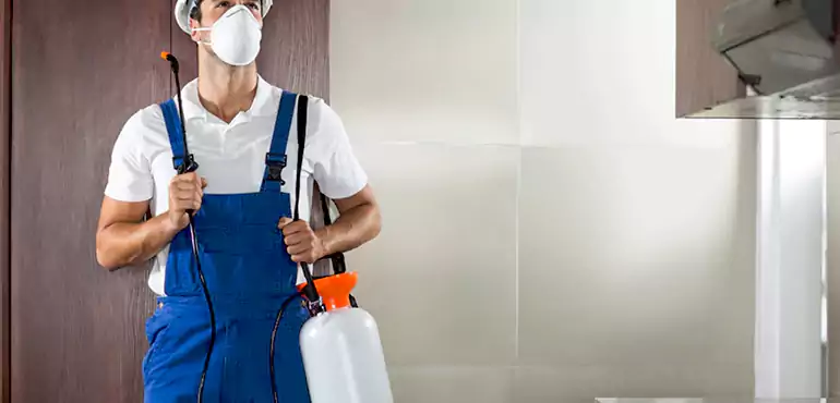 Why Glendale Homeowners Choose Us When Pests Make Selling Difficult
